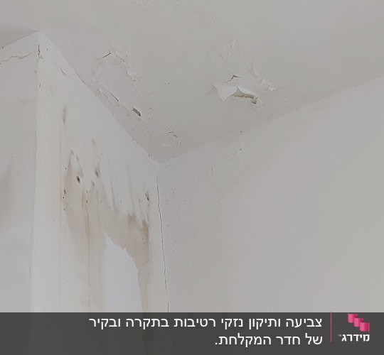 קיר עם קילופי צבע ונזקי רטיבות